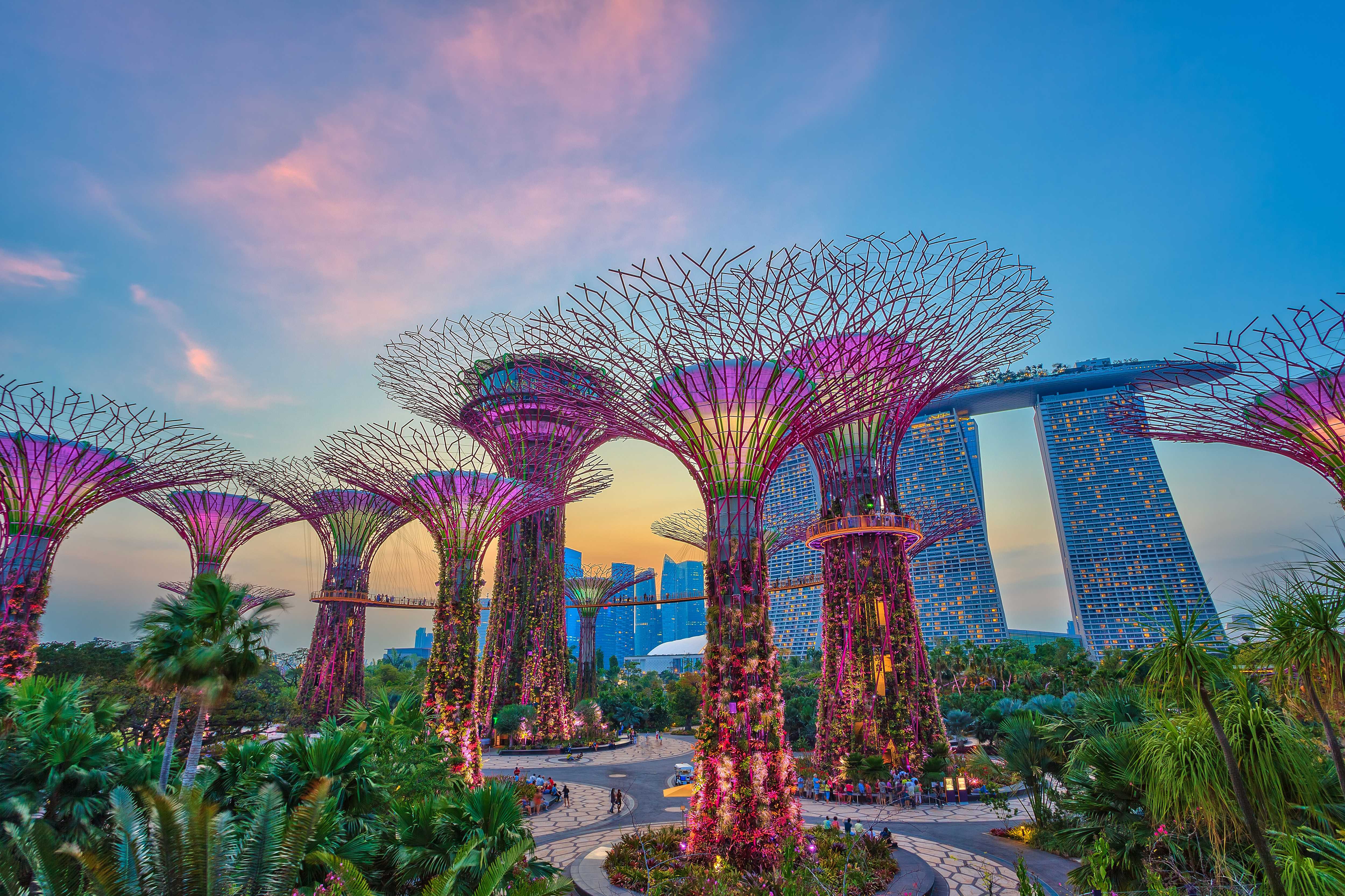 Singapore Gardens by the Bay at sunset with illuminated Supertrees