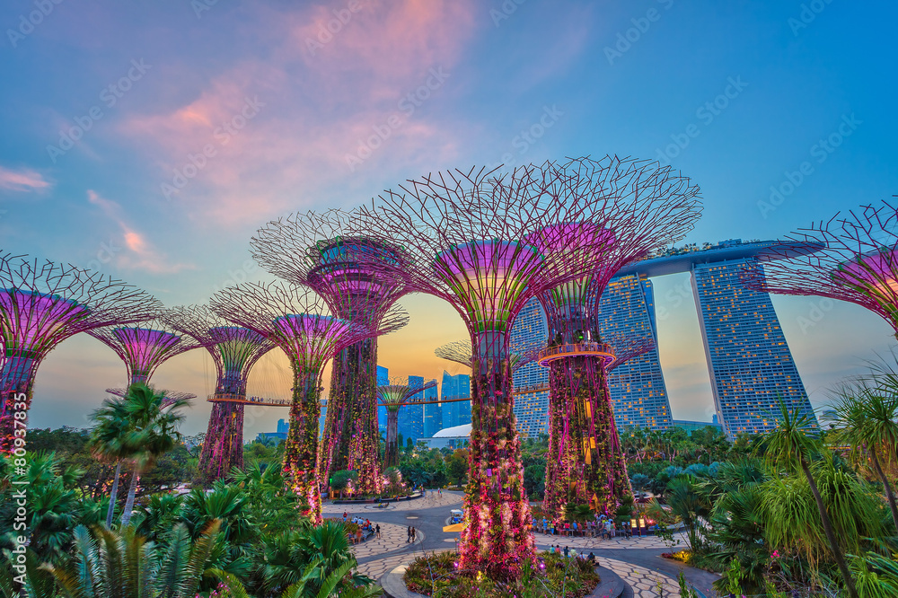 Supertree Grove at Gardens by the Bay, Singapore